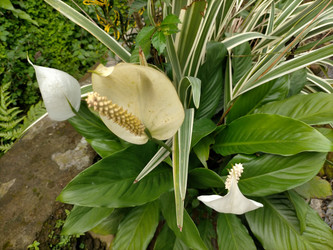 Similar image 22501300