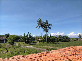 Similar image 22501332