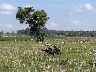 Similar image 22501346