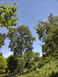 Similar image 22532553