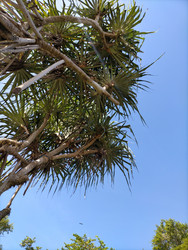 Similar image 22532636