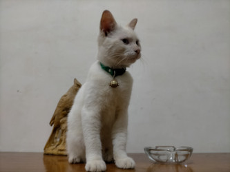 Similar image 22532678