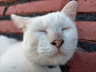 Similar image 22532721