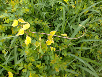 Similar image 22532740