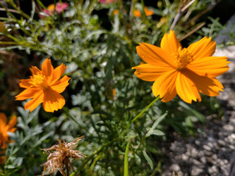 Similar image 22532766