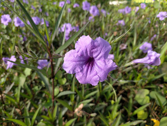 Similar image 22532786