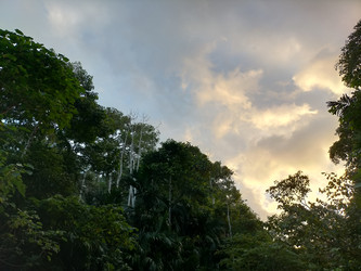 Similar image 22532787