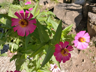 Similar image 22532810