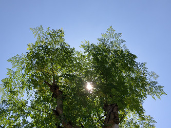 Similar image 22532830