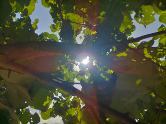 Similar image 22532854