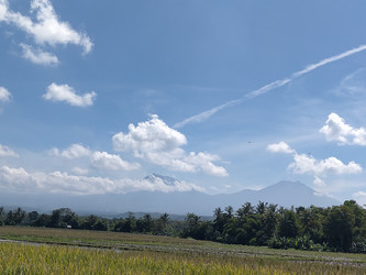 Similar image 22532856