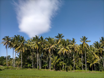 Similar image 22532945