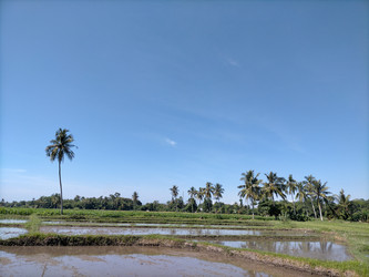 Similar image 22532946