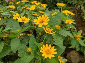 Similar image 22532967