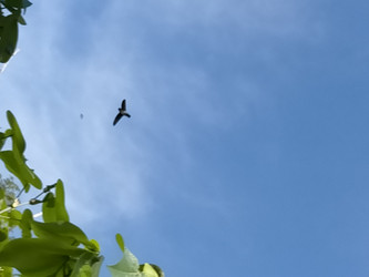 Similar image 22532993