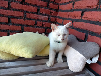 Similar image 22533016