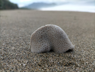 Similar image 22533037