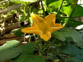 Similar image 22533062