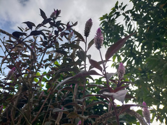 Similar image 22533084