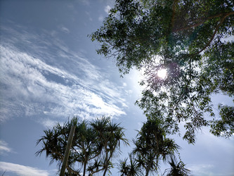 Similar image 22533105