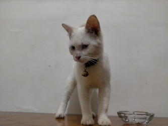 Similar image 22533152