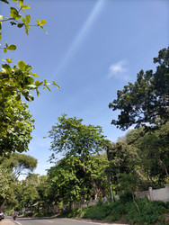 Similar image 22533173