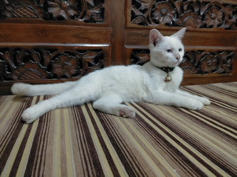 Similar image 22533193