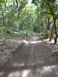 Similar image 22533220