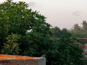 Similar image 22535682