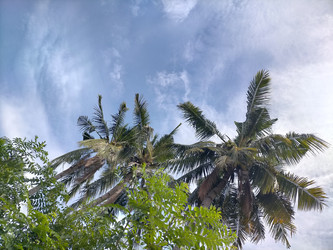 Similar image 22535711