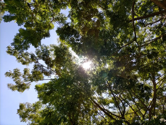 Similar image 22535728