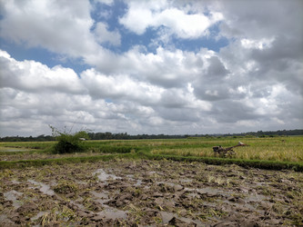 Similar image 22535729