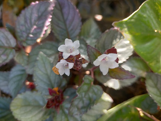 Similar image 22535758