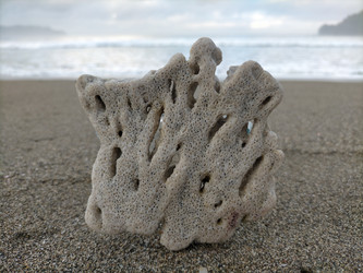 Similar image 22535820