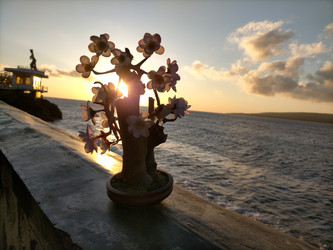 Similar image 22535821