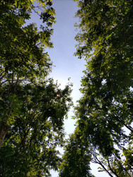 Similar image 22535832