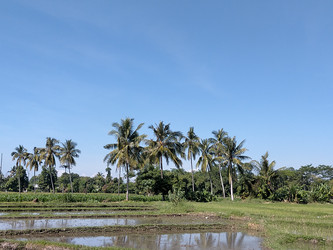 Similar image 22535848