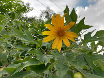 Similar image 22535849