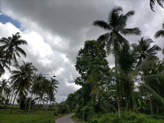 Similar image 22535865