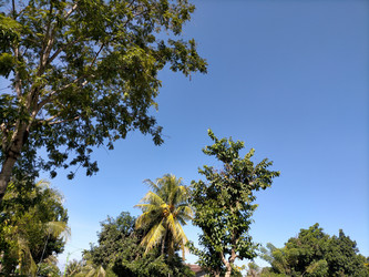 Similar image 22535866