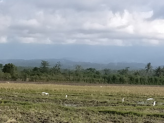 Similar image 22535880