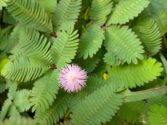 Similar image 22535892