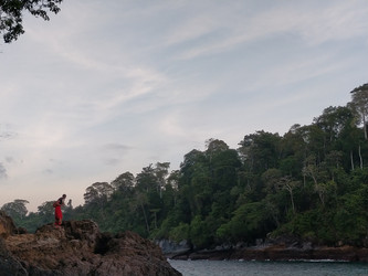 Similar image 22535893