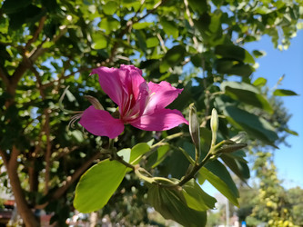 Similar image 22535922