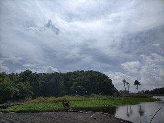 Similar image 22535938