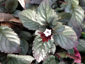 Similar image 22535967