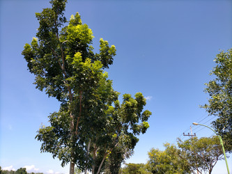 Similar image 22535968