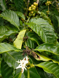 Similar image 22535997