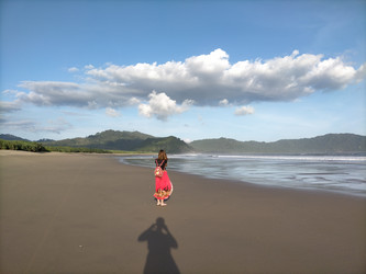 Similar image 22536012