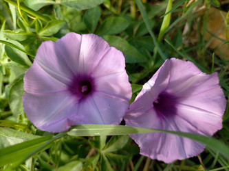 Similar image 22536044